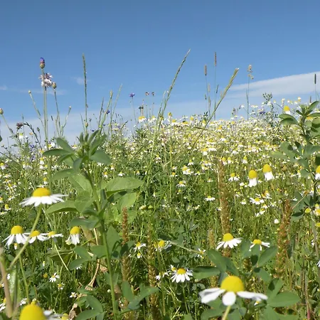 Ourthe Valley View Retreat La-Roche-en-Ardenne